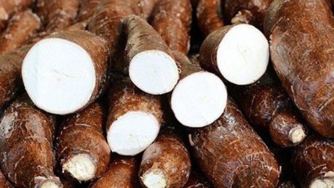 Gagnoa/Bayota : un festival initié pour la promotion du manioc