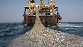 Guinée-Bissau/Pêche illégale : les cargos chinois accusés de vider les eaux bissau-guinéennes